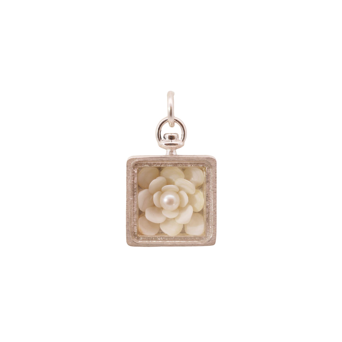 White Operculum & Pearl Collector's Box