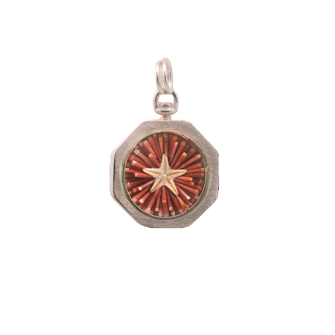 Tide Pool Sailor's Valentine