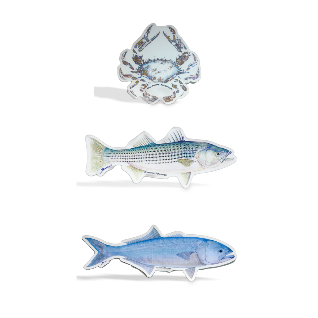 Ocean Print Stickers