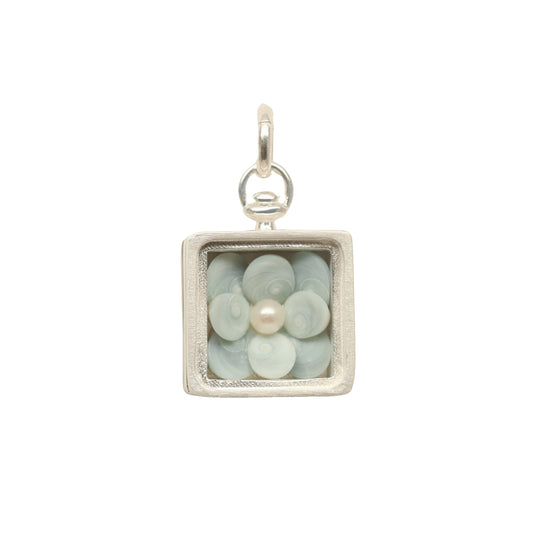 Blue Operculum Collector's Box