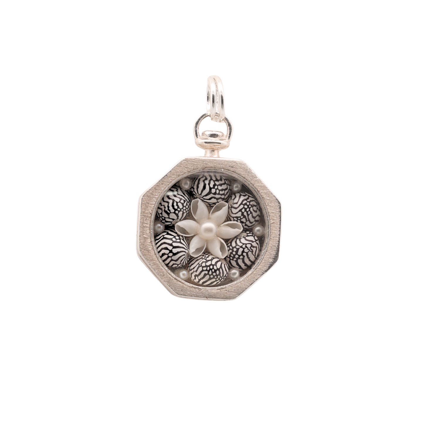 Zebra Shore Sailor's Valentine