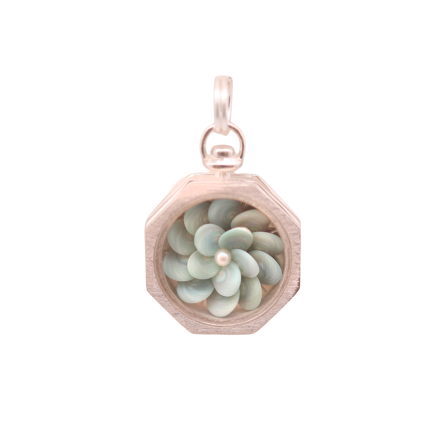 Open Water Sailor's Valentine
