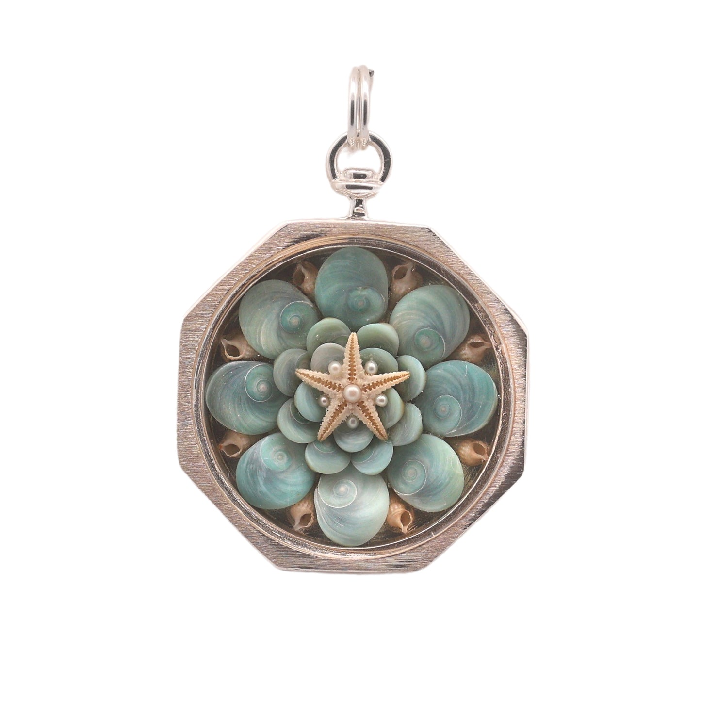Sea Star Sailor's Valentine