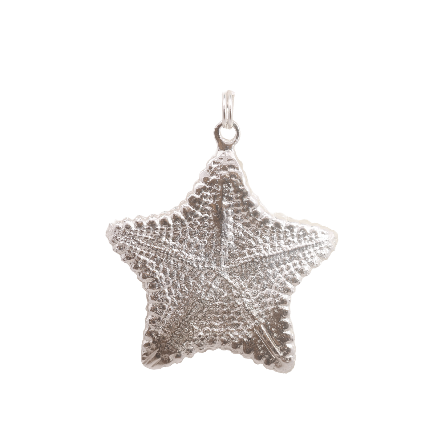 Biscuit Starfish Pendent in Sterling