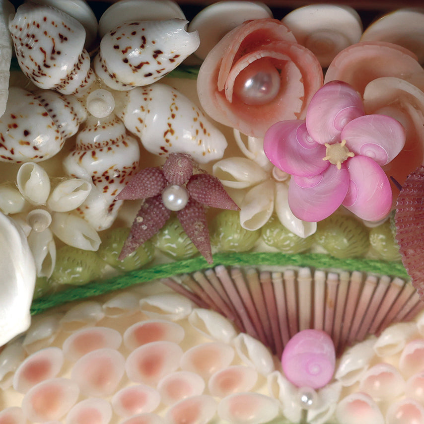 Butterfly Spirit – A Sailor’s Heart