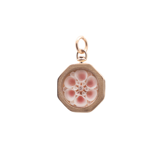 Flowering Sailor's Valentine