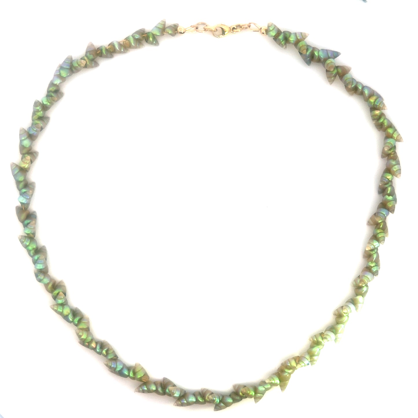 Green Kelp Snail Shell Necklace