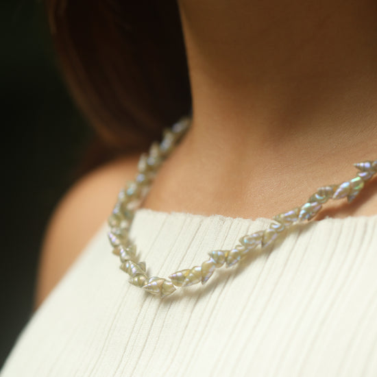 Shell Necklace in Sterling