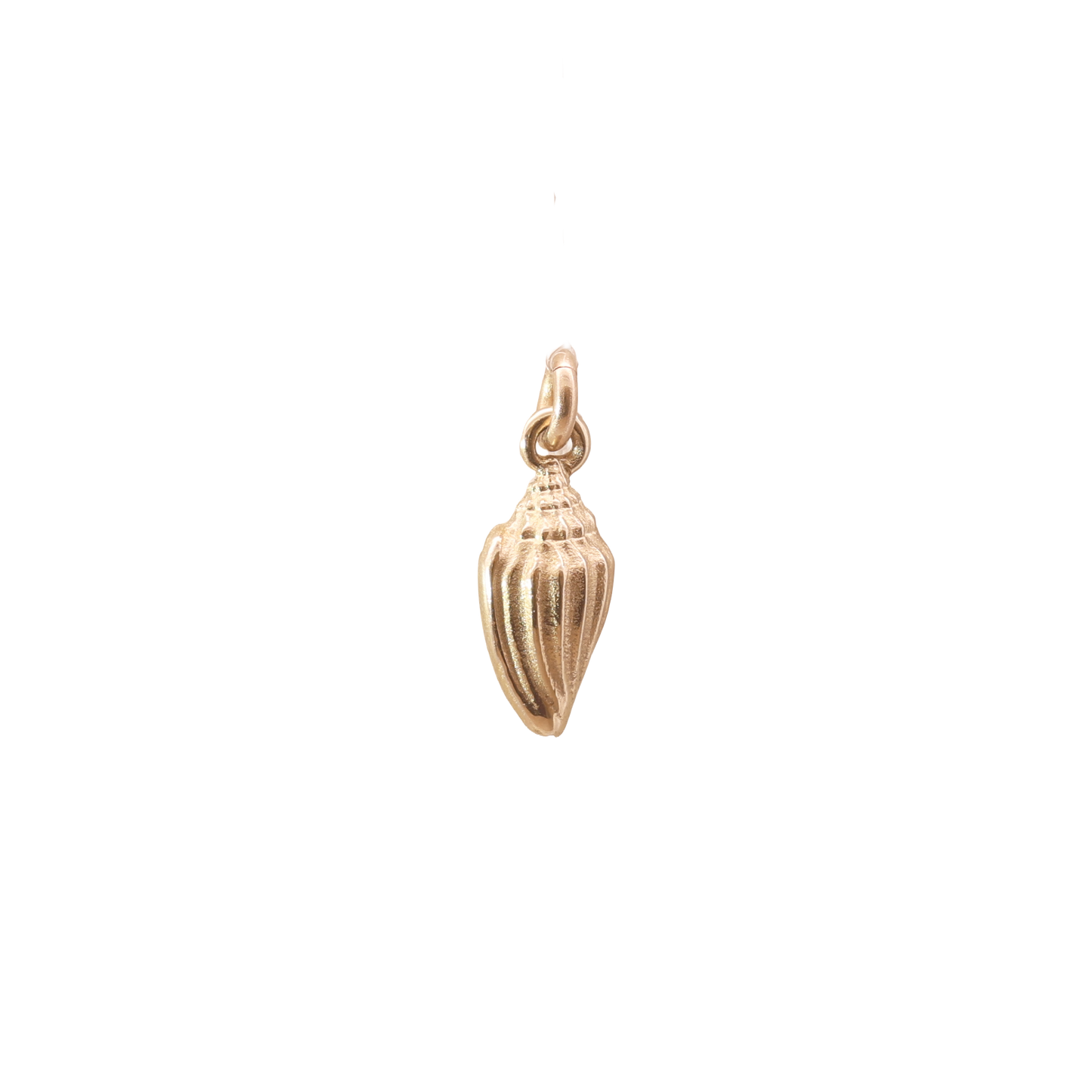 Low Tide Shell Charm in Gold
