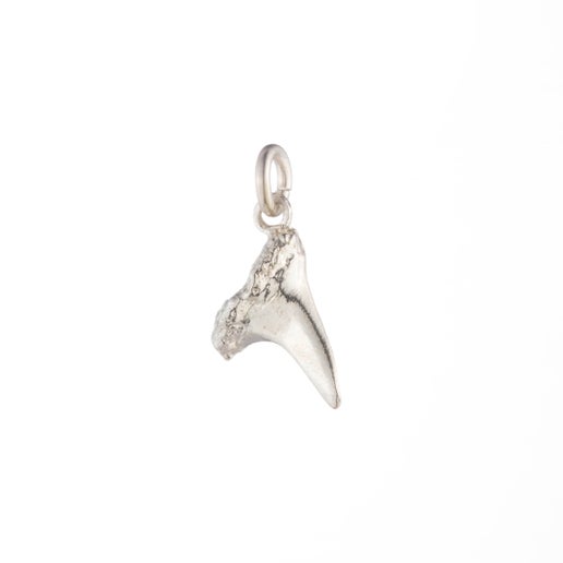 Shark Tooth Charm in Sterling