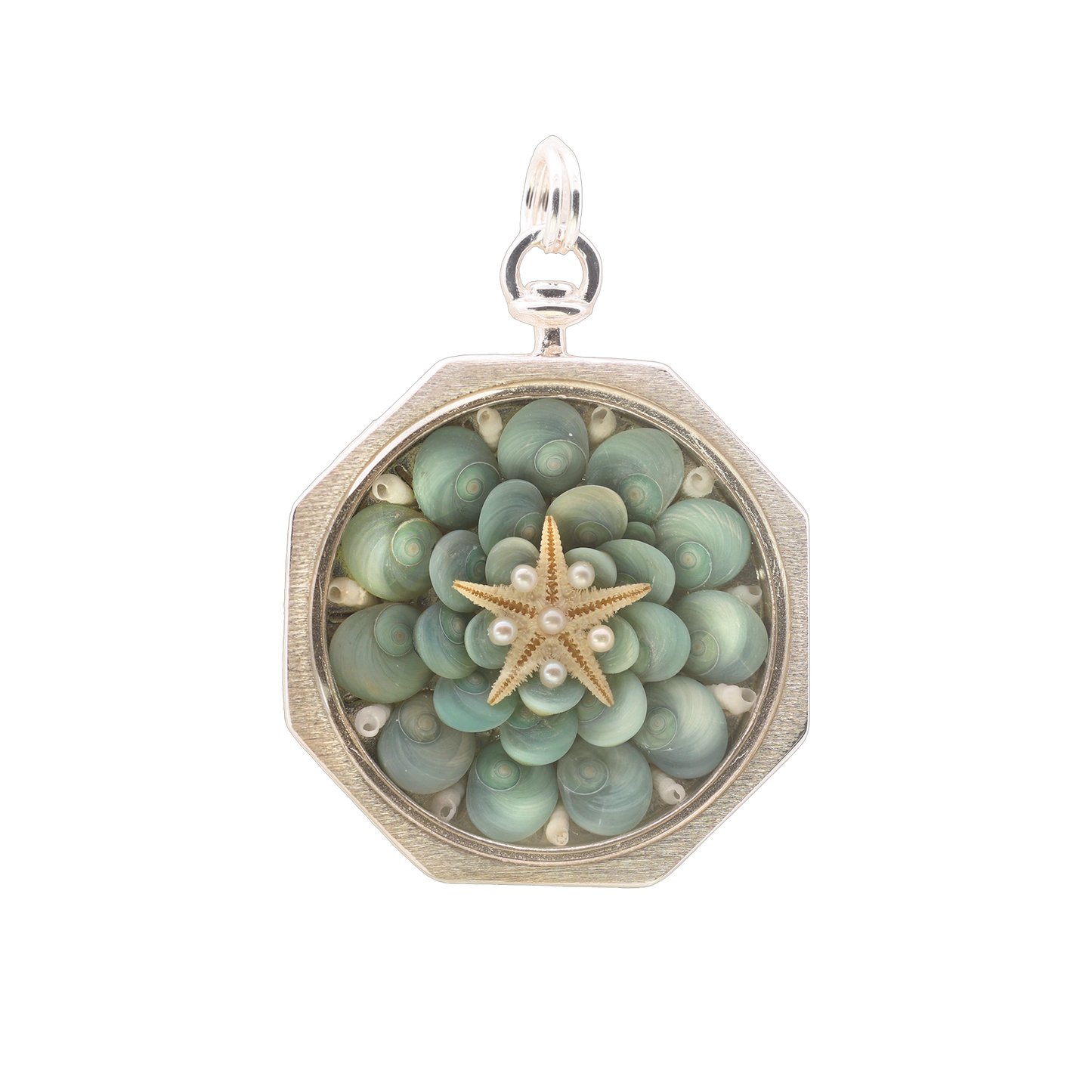 Sea Star Sailor's Valentine