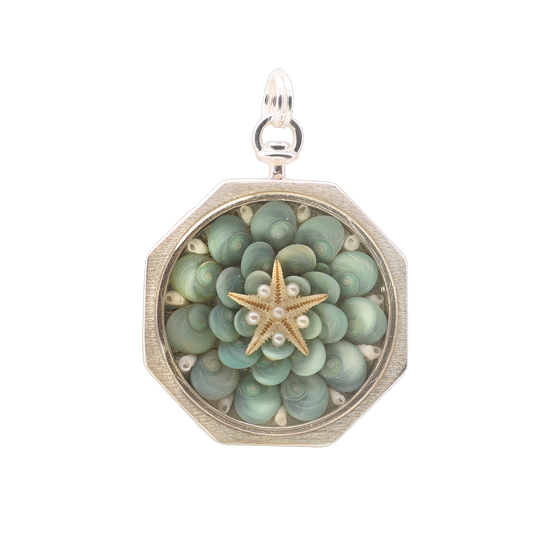 Sea Star Sailor's Valentine