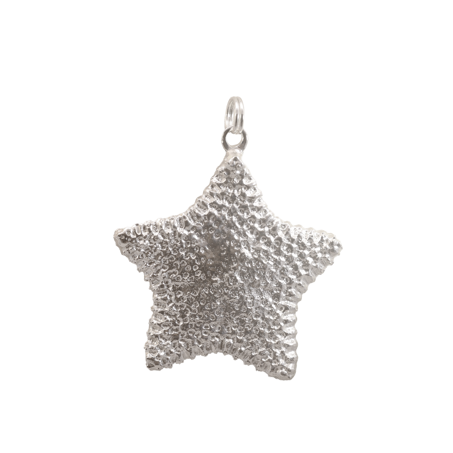 Biscuit Starfish Pendent in Sterling