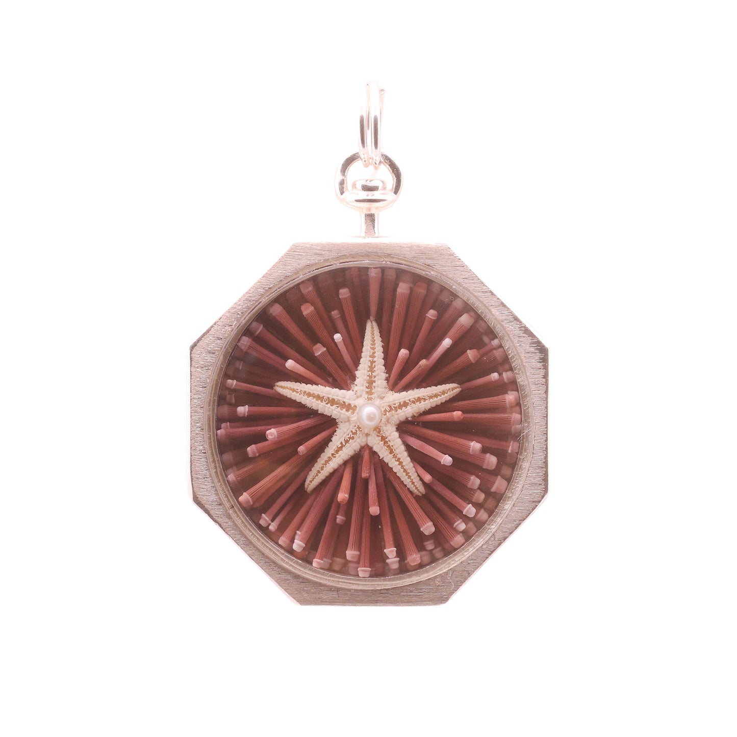 Crimson Current Sailor's Valentine