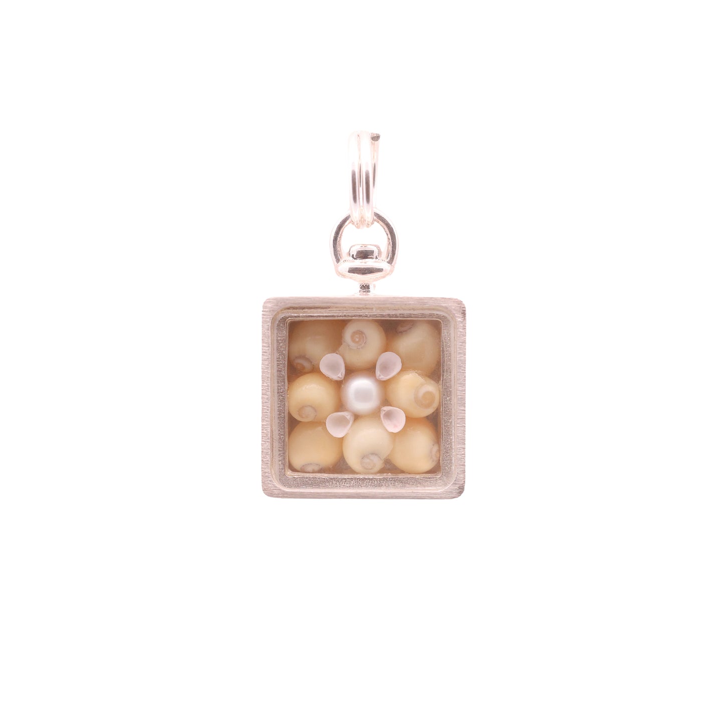 Sunshine Shell Collector's Box